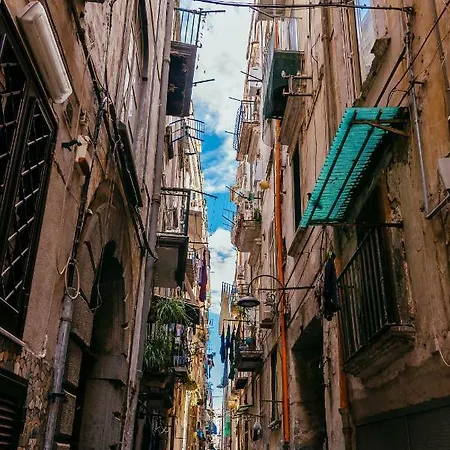 柠檬树露台公寓 公寓 *