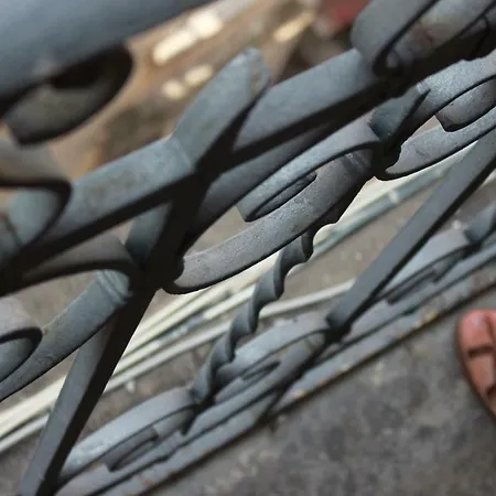 柠檬树露台公寓