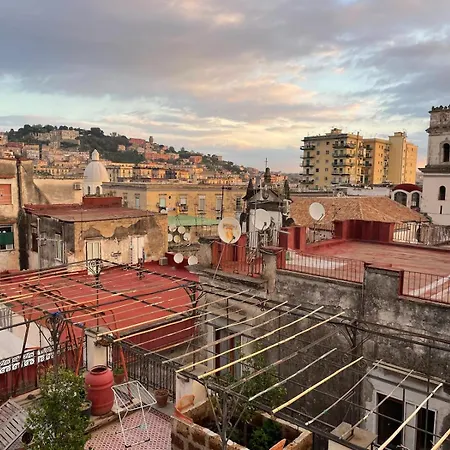 Lemon Tree Terrace * Naples