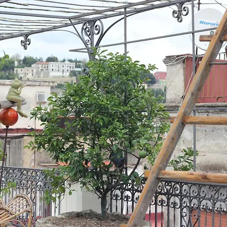 Apartment Lemon Tree Terrace