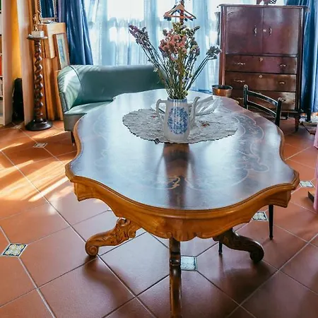 Apartment Lemon Tree Terrace