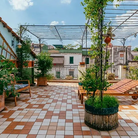Lemon Tree Terrace Naples